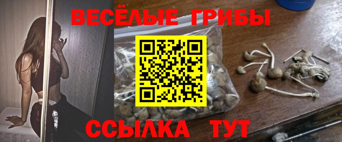 Псилоцибиновые грибы прущие грибы Усолье-Сибирское